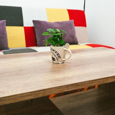 Cozy Apartment Braşov Esterno foto